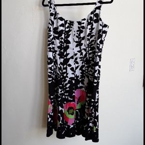 Evan Piccone Dress